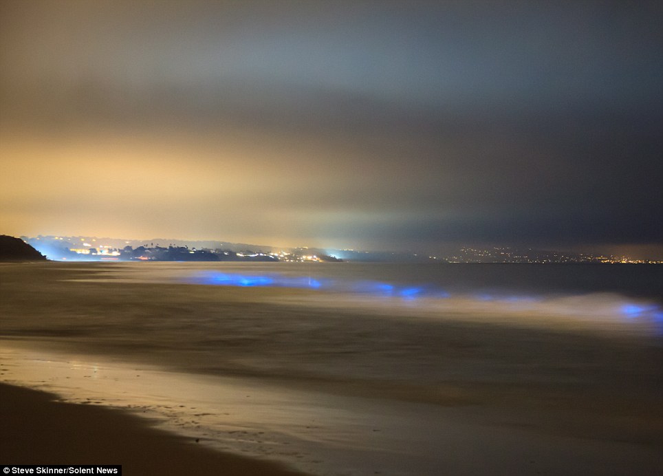 Part of the sea was illuminated a stunning shade of blue due to a natural phenonemon called algae bloom